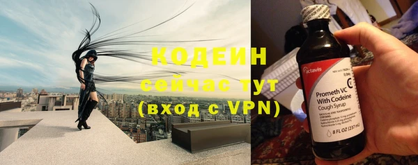дмт Осташков