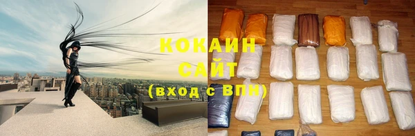 дмт Осташков