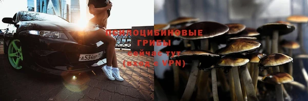 прущие крисы Нягань
