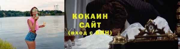 дмт Осташков