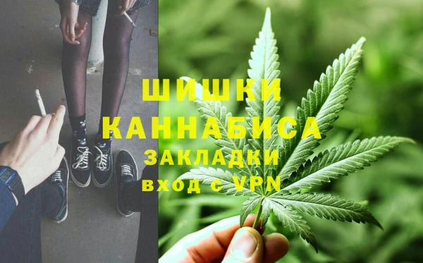 дмт Осташков