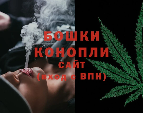 дмт Осташков