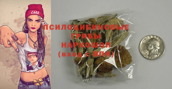 дмт Осташков